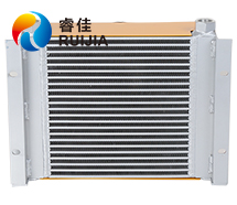 <font color='red'>風(fēng)冷卻器</font>RJ-456A